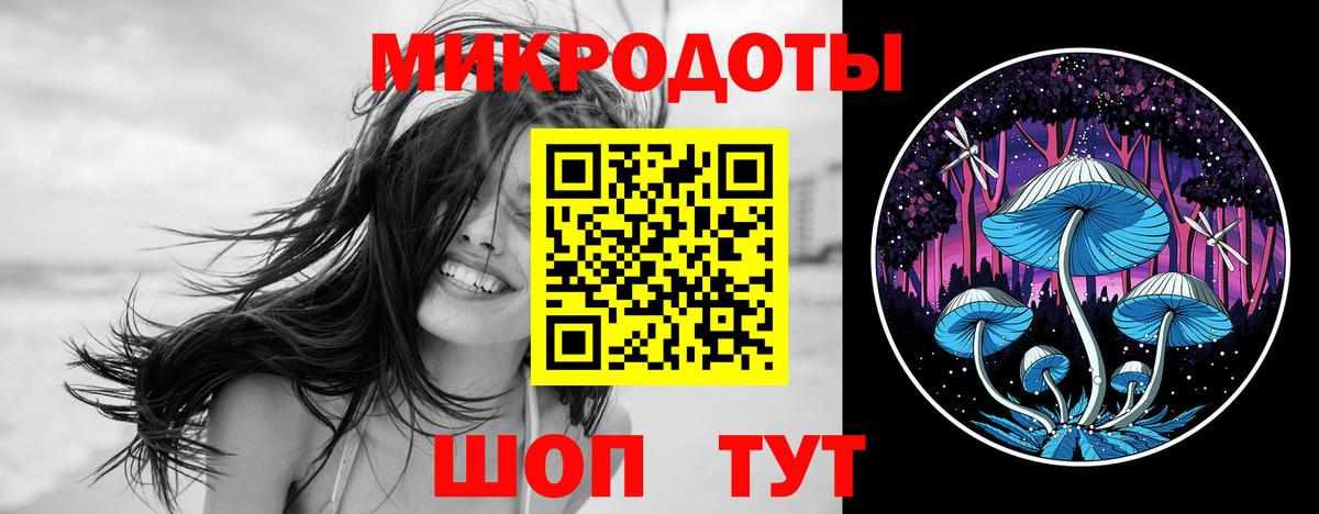 Галлюциногенные грибы Psilocybe Курск